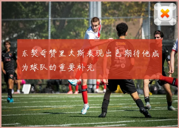东契奇赞里夫斯表现出色期待他成为球队的重要补充