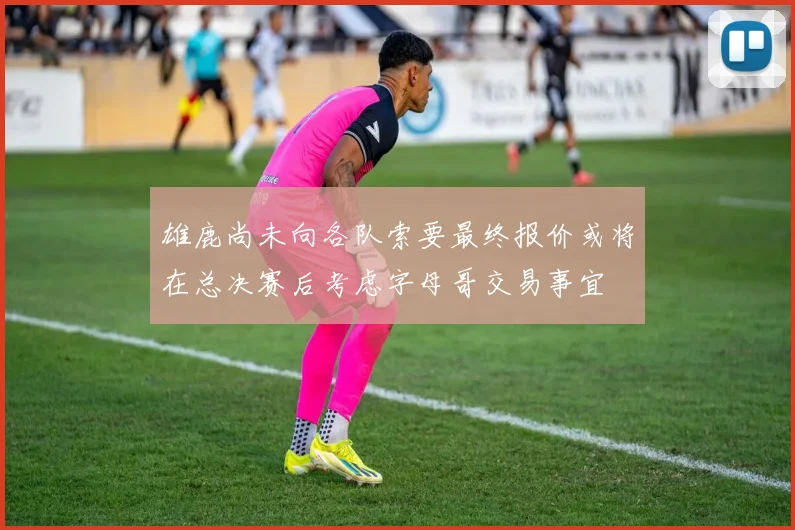 雄鹿尚未向各队索要最终报价或将在总决赛后考虑字母哥交易事宜